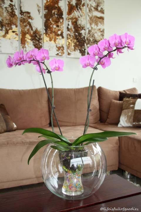 Orchidee im Fischglas