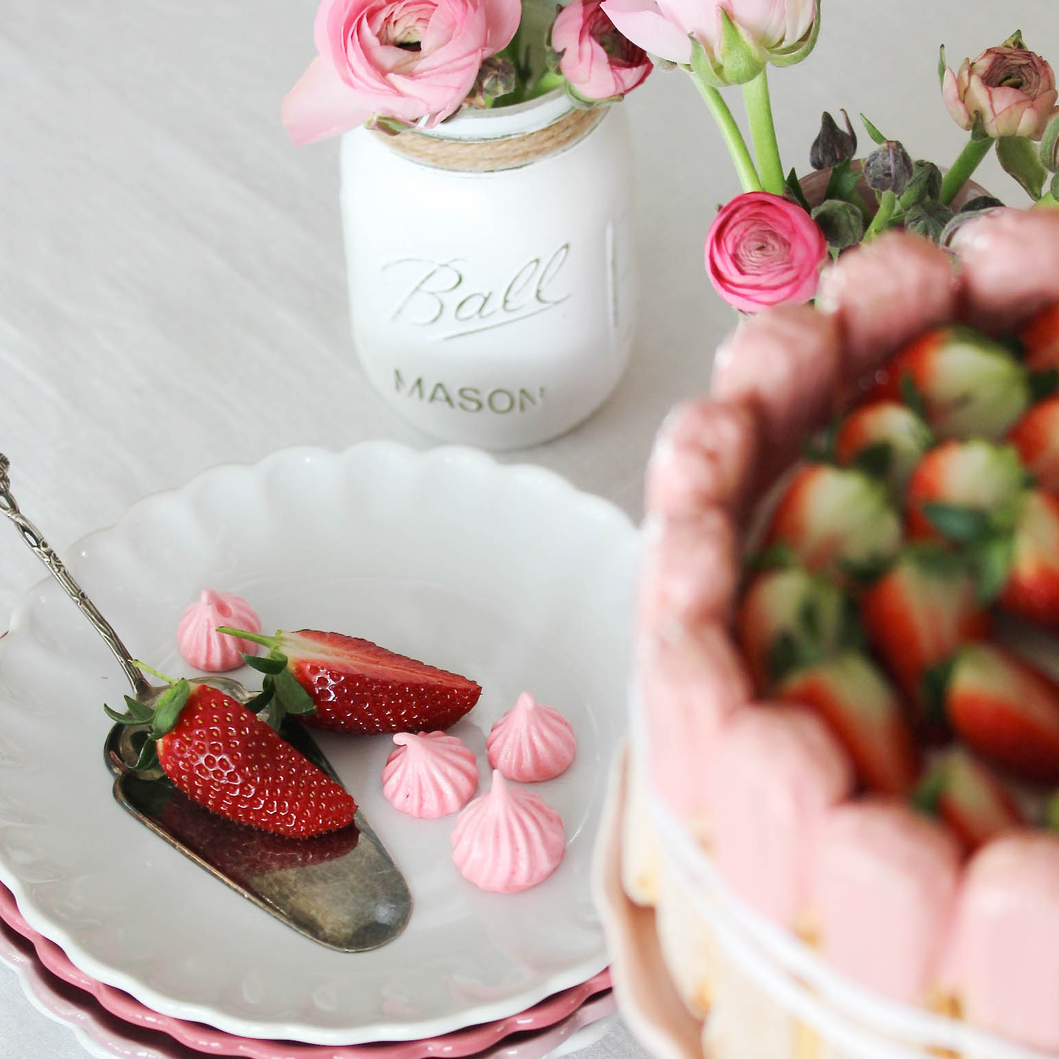Erdbeer-Tiramisu-Charlotte von "Emma´s Lieblingsstücke"