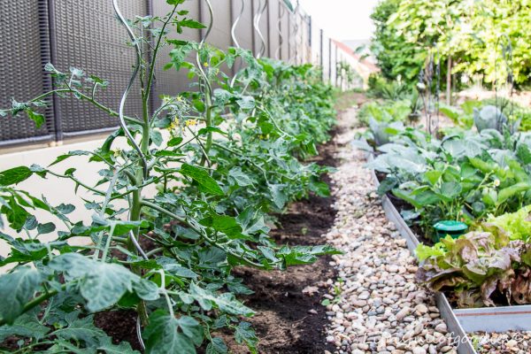 Mein Gemüsegarten und warum Gartenarbeit schön macht Life Is Full