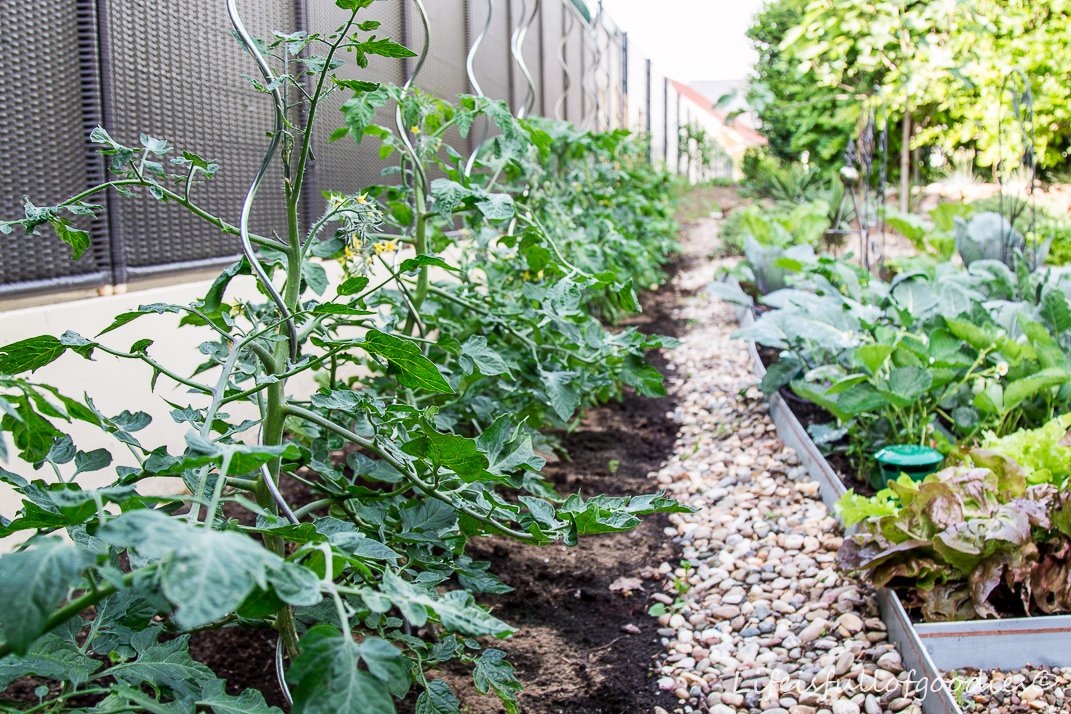 Mein Gemüsegarten - und warum Gartenarbeit schön macht - Life Is Full