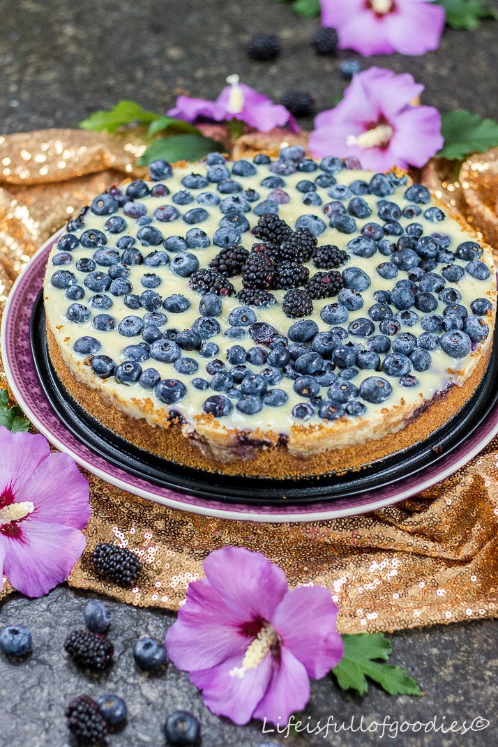 Blaubeer-Pudding-Kuchen