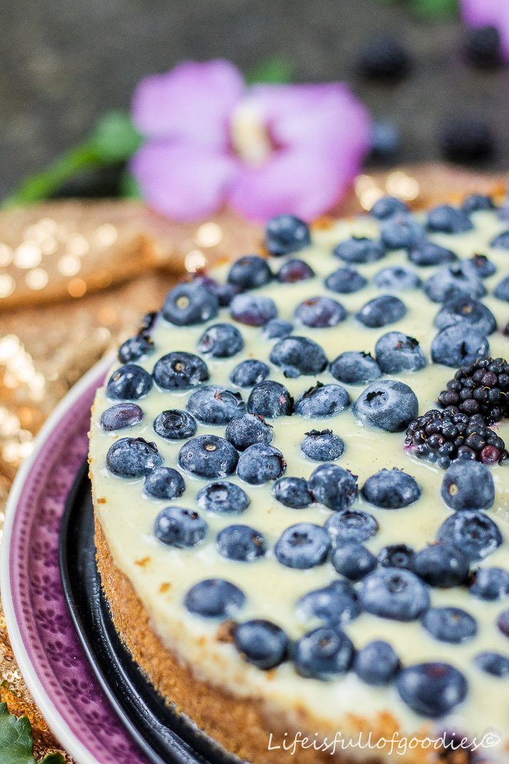 Blaubeer Pudding Kuchen Life Is Full Of Goodies