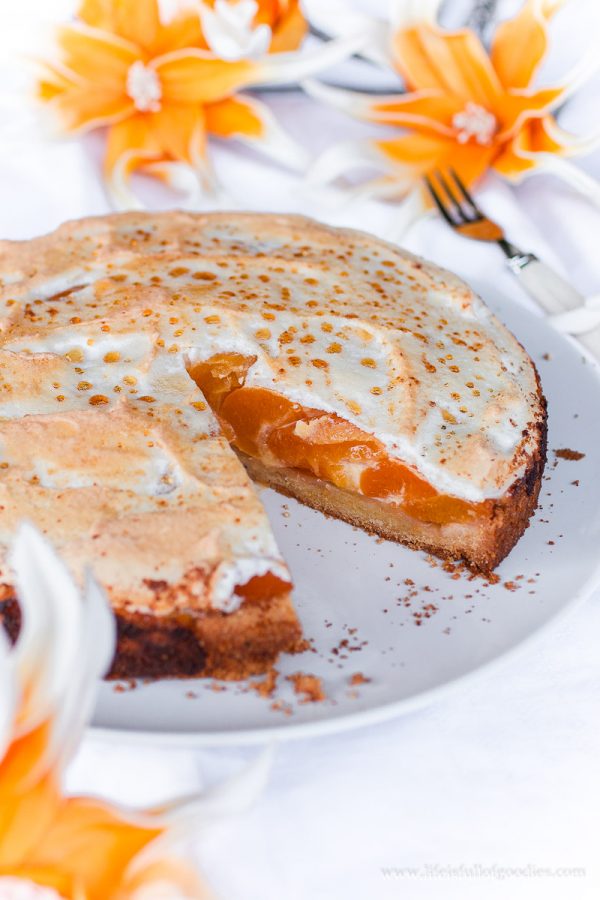 Saftiger Aprikosenkuchen mit Baiser - Life Is Full Of Goodies