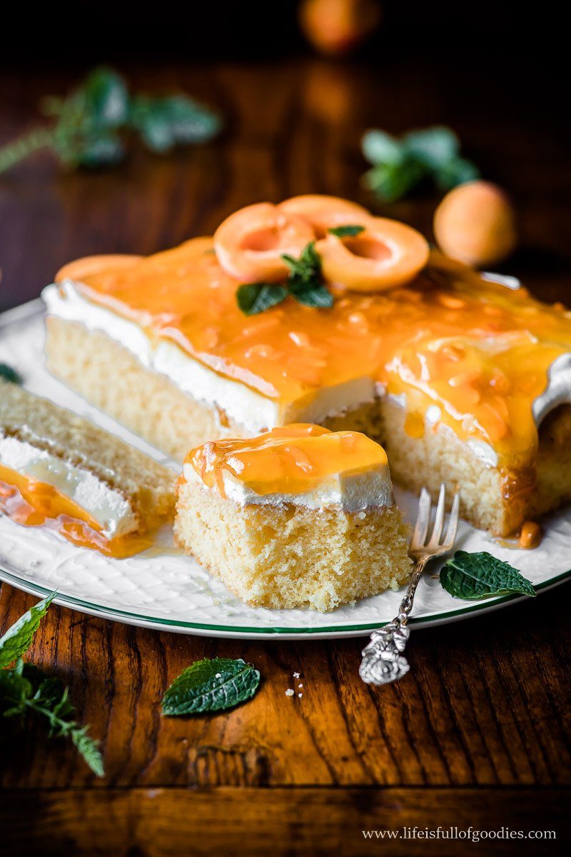 Anschnitt Cremekuchen mit Aprikosen 