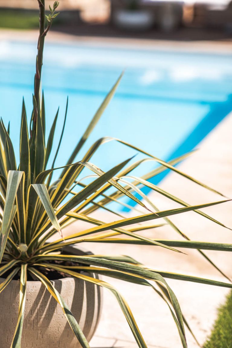 Pool 2023 | Life Is Full Of Goodies