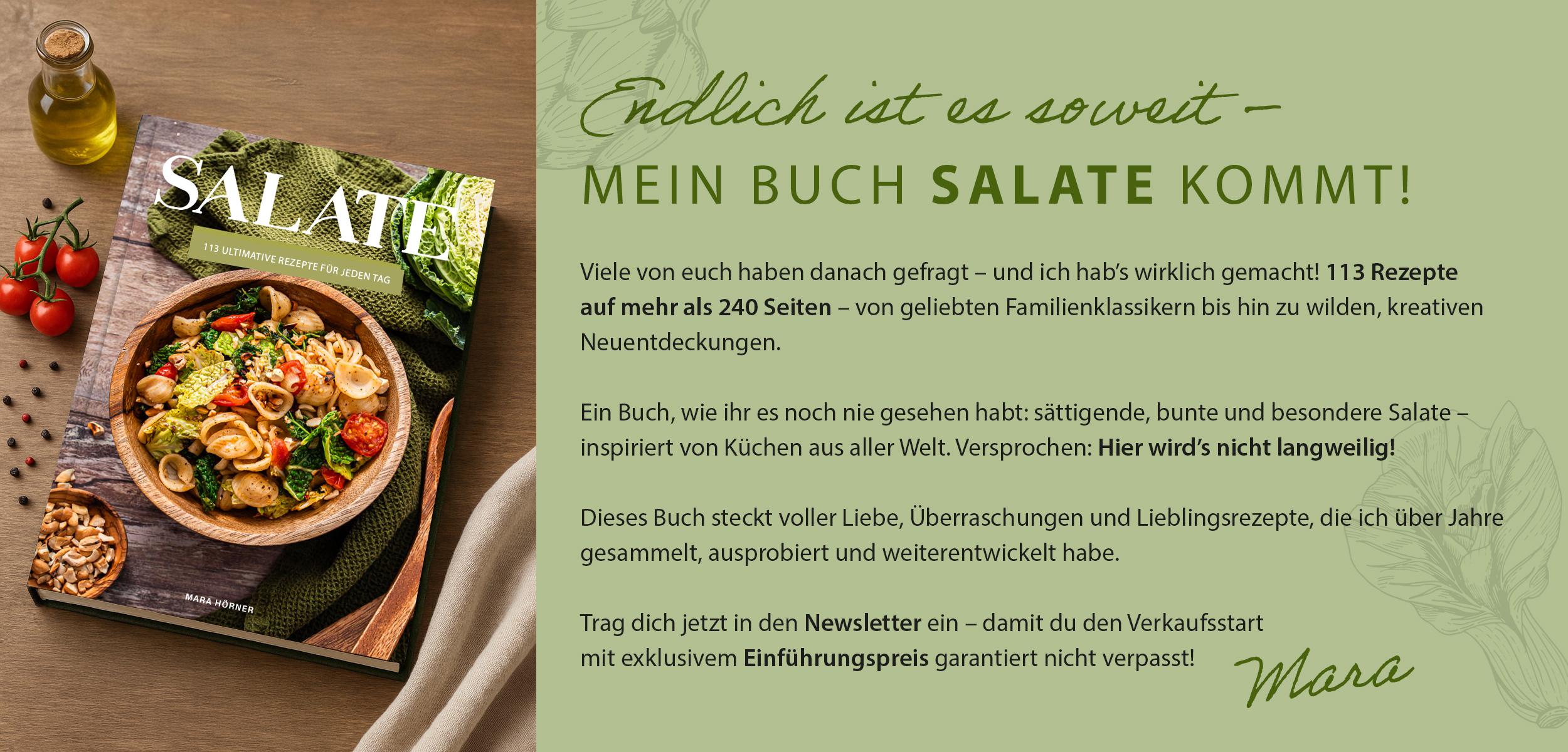 Ankündigung Salate Buch Banner